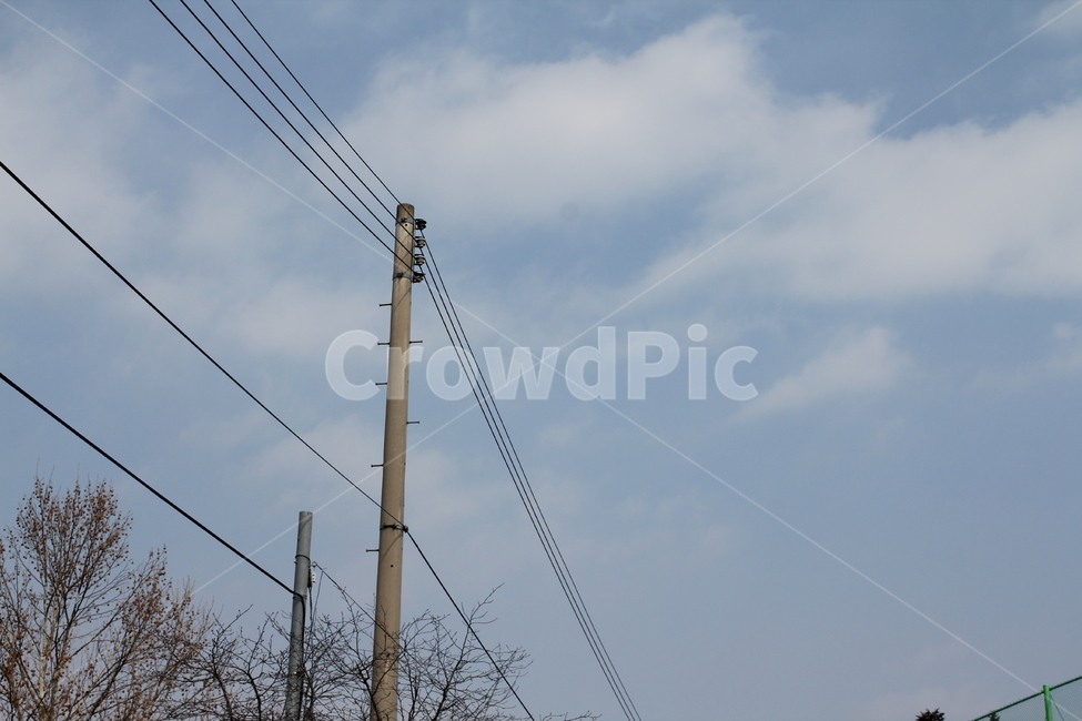 전봇대,하늘,구름,나무,자연,풍경,경치,겨울,계절,winter,season,자연,풍경,nature,landscape,utility pole,전신주