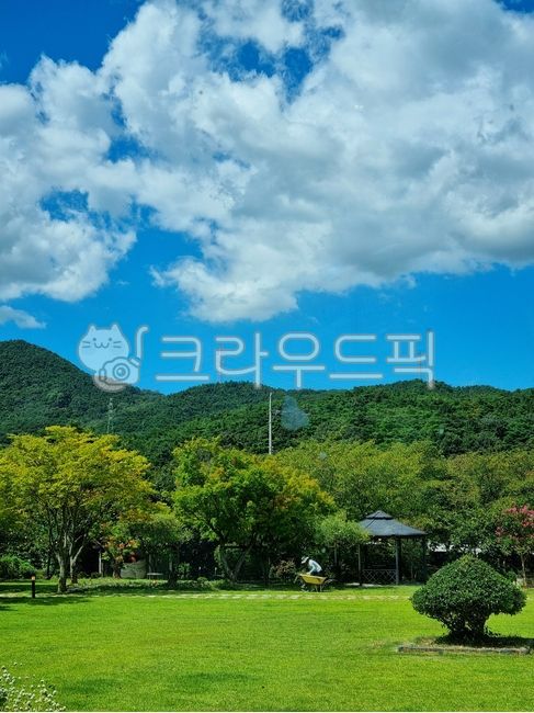 하늘,풍경,카페,초록,파란,푸른,구름,맑은,화창,햇살