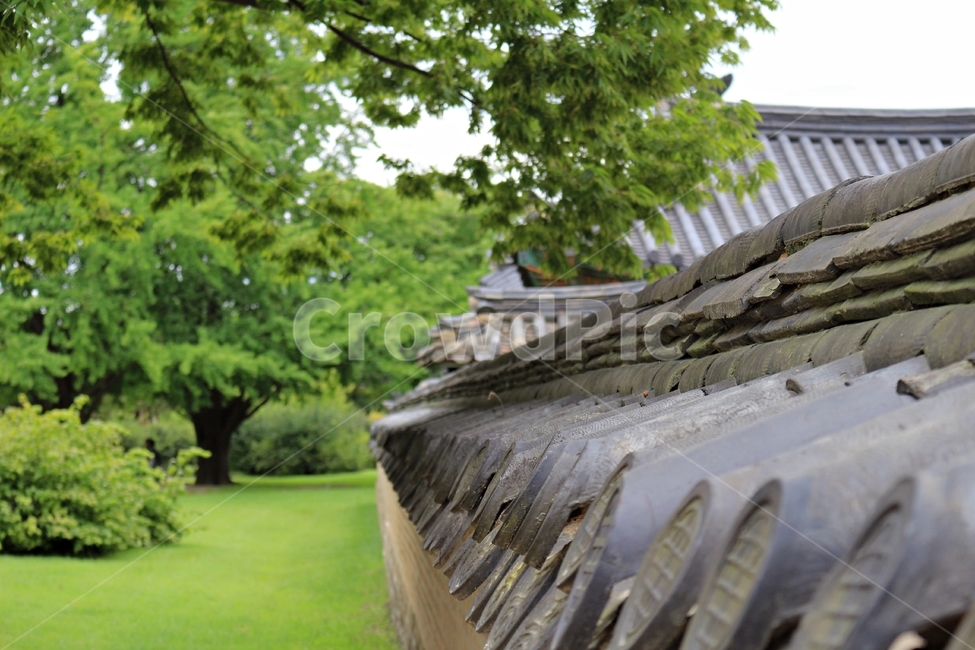 경복궁,기와,담벼락,전통,궁궐,궁,나무,여름,푸르름,palace,조선,landmark,감성,traditional,wall,벽,아웃포커싱,지붕,전통양식,문양,패턴,summer,종로,광화문,한국전통,한국문화,korean traditional,korean culture,건축물,건물외관,exterior,building,structure,architecture,construction