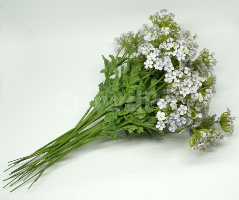 누끼,꽃,꽃다발,플라워,식물,자연,사물,물건,소품,flower,누끼사진,오브젝트,object,컨셉,콘셉,concept,nature,꽃꽂이,식물,자연,plants,nature,꽃,flower,누끼,remove background