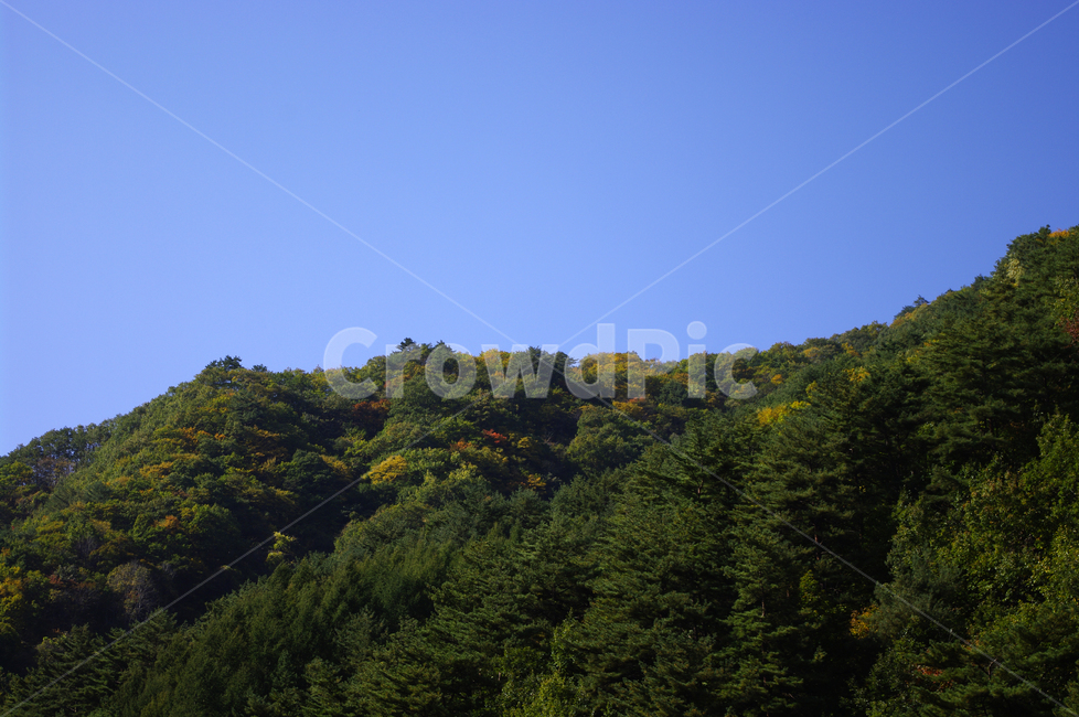 하늘,산,숲,나무,풍경,자연,풍경,nature,landscape,outdoors,옥외