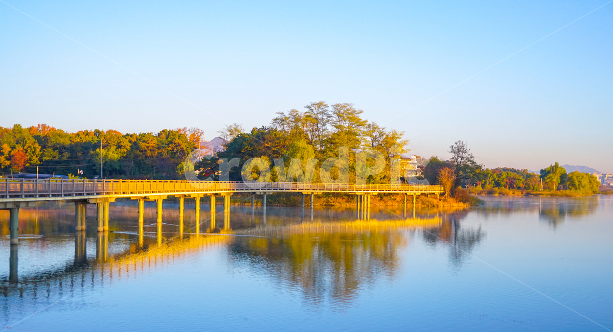 가을,계절,잔영,투영,동산,나무,단풍,호수,저수지,가을,계절,fall,autumn,season,자연,풍경,nature,landscape,한국자연풍경,한국자연경관,korea nature landscape,water,물,outdoors,옥외