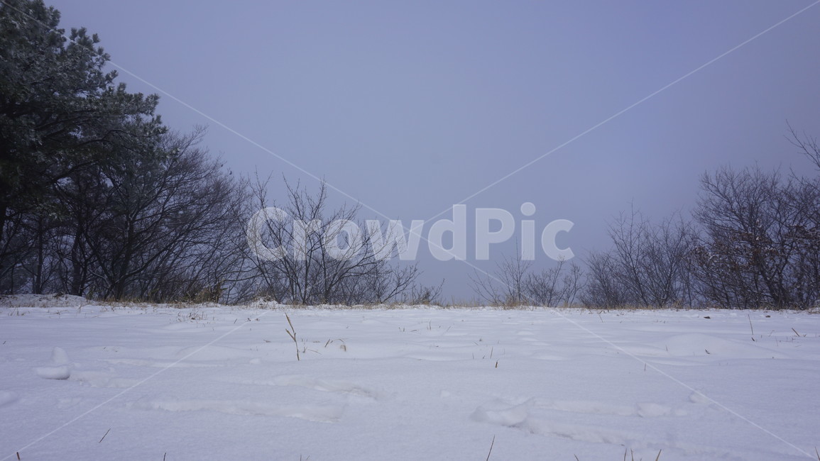 나무,산,눈,안개,겨울,겨울,계절,winter,season,자연,풍경,nature,landscape,outdoors,옥외