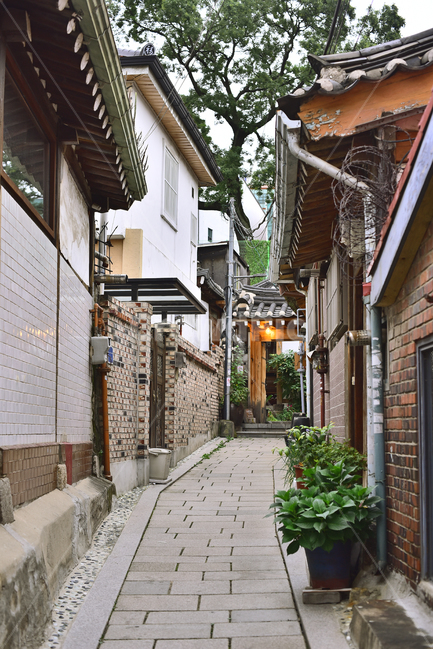 한국전통,골목길,기와집,한옥마을,한옥촌,전통마을,보존,역사,전통문화,집,하우스,traditionalhouse,korean,북촌,house,analley,돌담길,전통가옥,거주지,주택,건축물,처마,창문,마을,촌락,koreanstylehouse,통로,bukchonhanokvillage,hanok,보도블럭,보도,마을길,골목길,alley,한국전통,한국문화,korean traditional,korean culture