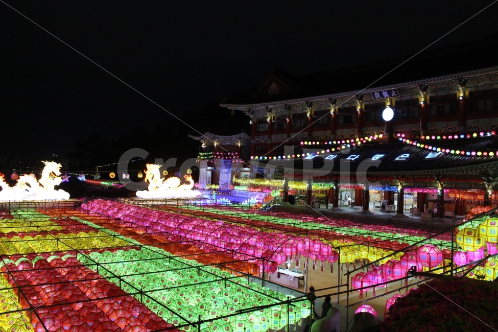 night view,light,busan,sight,sculpture,buddhism,Buddhas Birthday,Lotus Lantern Festival,Samgwangsa Temple,building