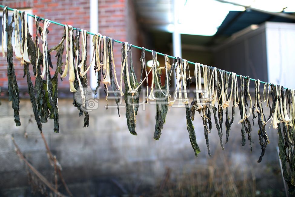 시래기,무우청,식재료,우거지,말린것