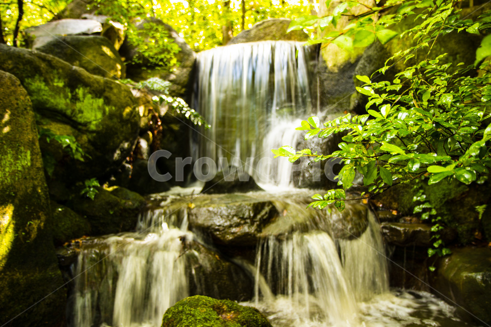 계곡,여름,가을,폭포,시원,자연,풍경,nature,landscape,water,물,river,강,outdoors,옥외
