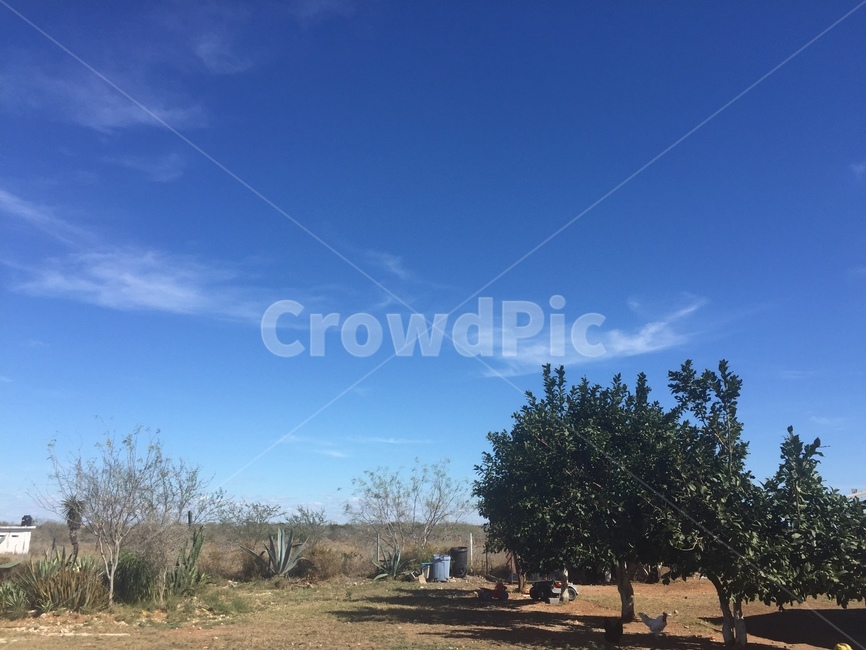 nature,자연,outdoors,옥외,하늘,농장,farm,멕시코,mexico