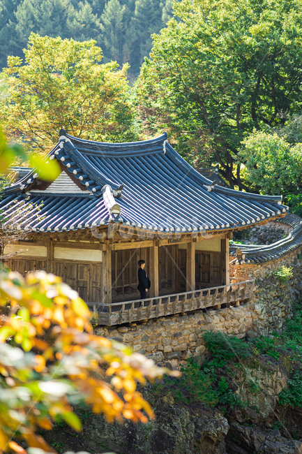 초간정,나무,단풍,정자,기와,언덕,절벽,인물,human,인간,person,사람,농촌,outdoors,옥외,nature,자연,building,건물,가을,자연,풍경,nature,landscape,한국자연풍경,한국자연경관,korea nature landscape,한국전통,한국문화,korean traditional,korean culture