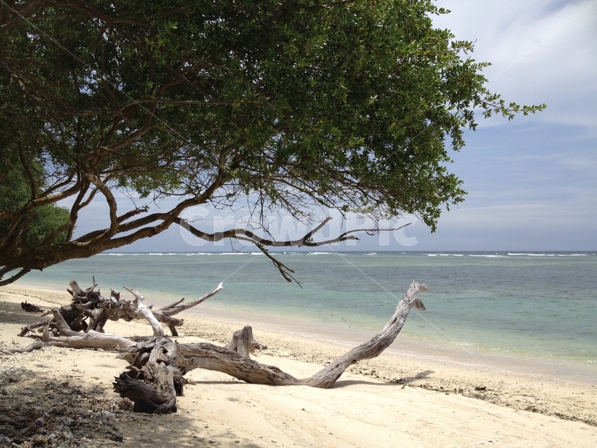 길리,바다,나무,하늘,gili,sea,tree,sky,seaandtrees,고즈넉