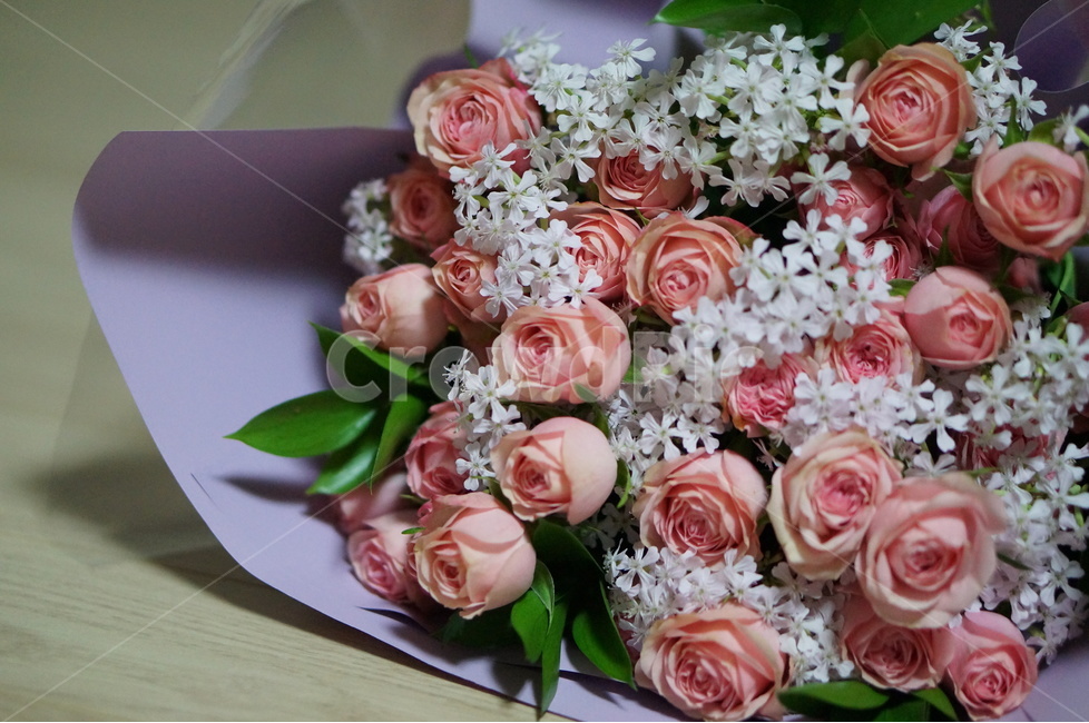꽃다발,생일,핑크,축하,기념일,꽃,flower,기념일,축하,anniversary,congratulation,celebrate,celebration