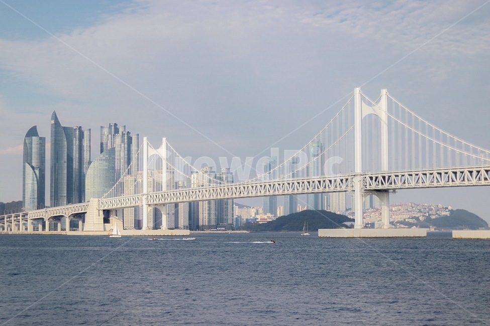 bridge,다리,building,건물,부산,광안대교,건축물,건물외관,exterior,building,structure,architecture,construction