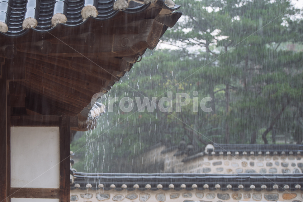 비,rain,처마,한옥,시원함,한국전통,한국문화,korean traditional,korean culture,비,비오는날,rain,rainy,건축물,건물외관,exterior,building,structure,architecture,construction