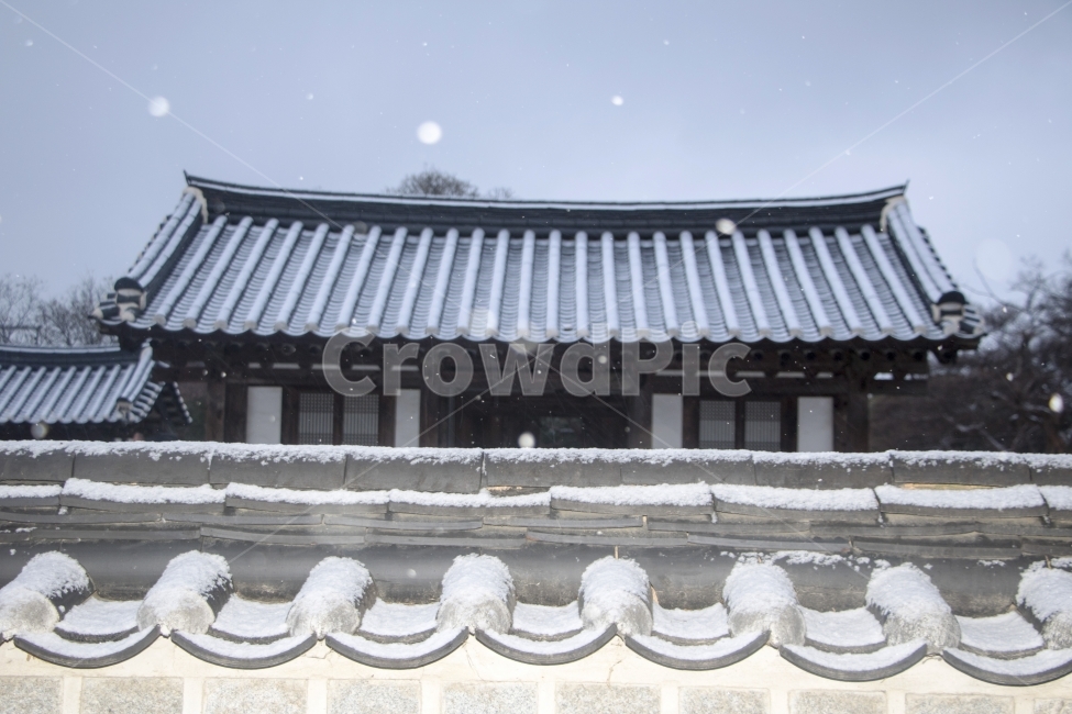 사진,단독사진,디자인,소스,포토,사진자료,배경,배경사진,백그라운드,한국,동양,아시아,접사,근접,자연,겨울,눈,얼음,경치,설경,Landscape,날씨,겨울배경,겨울풍경,풍경,눈풍경,한옥,지붕,사찰,전통가옥,기와,기와집,보케,흩날림,돌담,담,전통담,겨울,계절,winter,season,한국전통,한국문화,korean traditional,korean culture