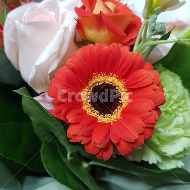꽃,꽃다발,플로리스트,주황색,소품,식물,자연,plants,nature,꽃,flower