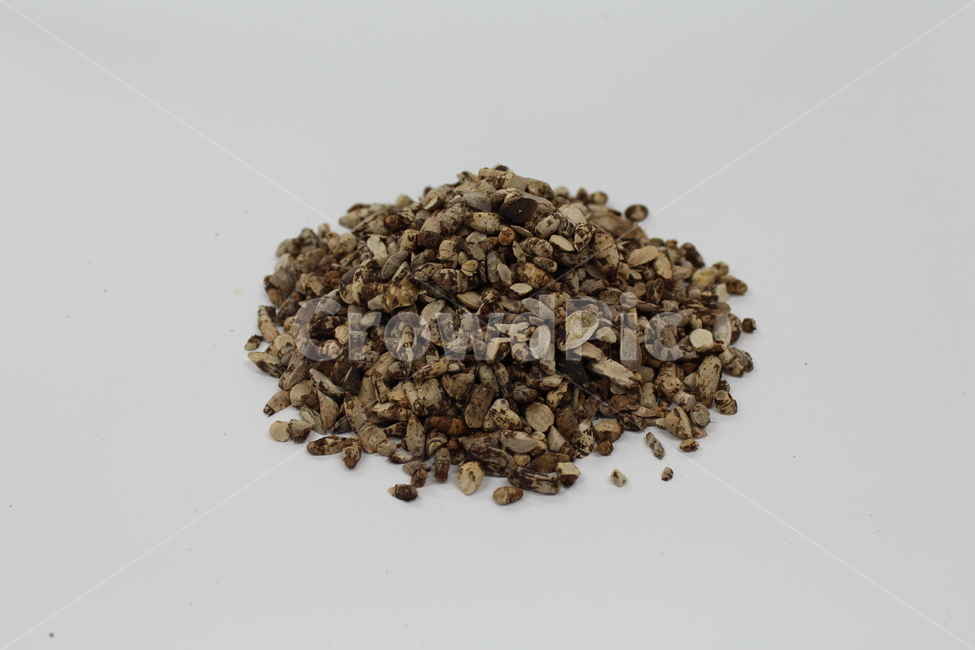 한약,보약,한약재,한의원,한방병원,한방,한의사,한의학,약재,약초,약용식물,허브,herb,천연,동의보감,허준,tonic,orientalmedical,koreantraditional,koreanmedicine,향부자