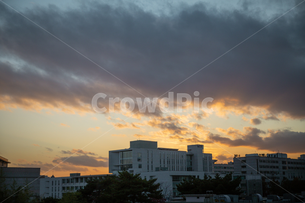 nature,자연,날씨,weather,노을,하늘