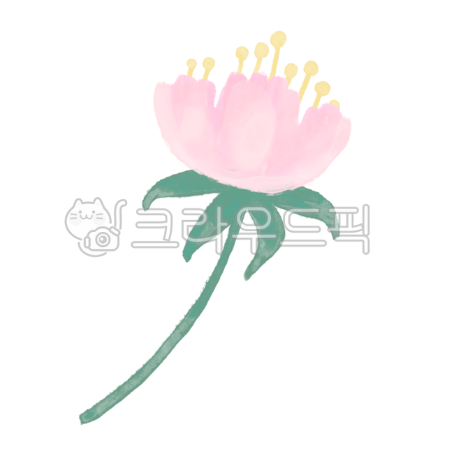 식물,식물그림,꽃그림,풀잎,풀,식물일러스트,꽃일러스트,flower,꽃,art,미술,painting,그림,plants,연꽃,들꽃,lotus