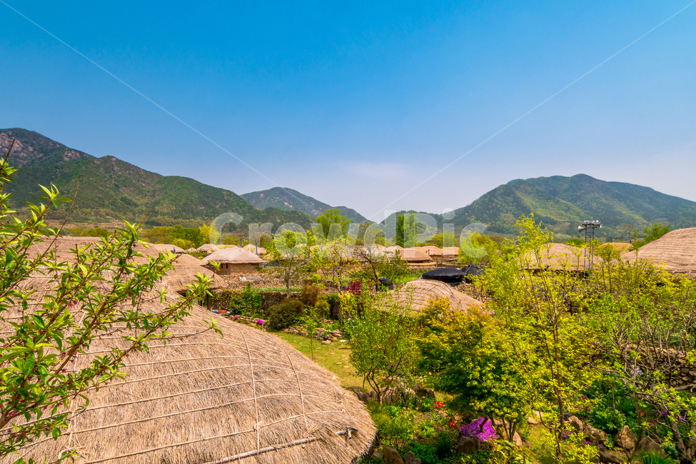 낙안민속마을,한국,봄,마을,초가집,전통,초록색,봄,계절,spring,season,시골,마을,풍경,landscape,country,rural,town,한국전통,한국문화,korean traditional,korean culture,nature,자연,outdoors,옥외,building,건물,농촌