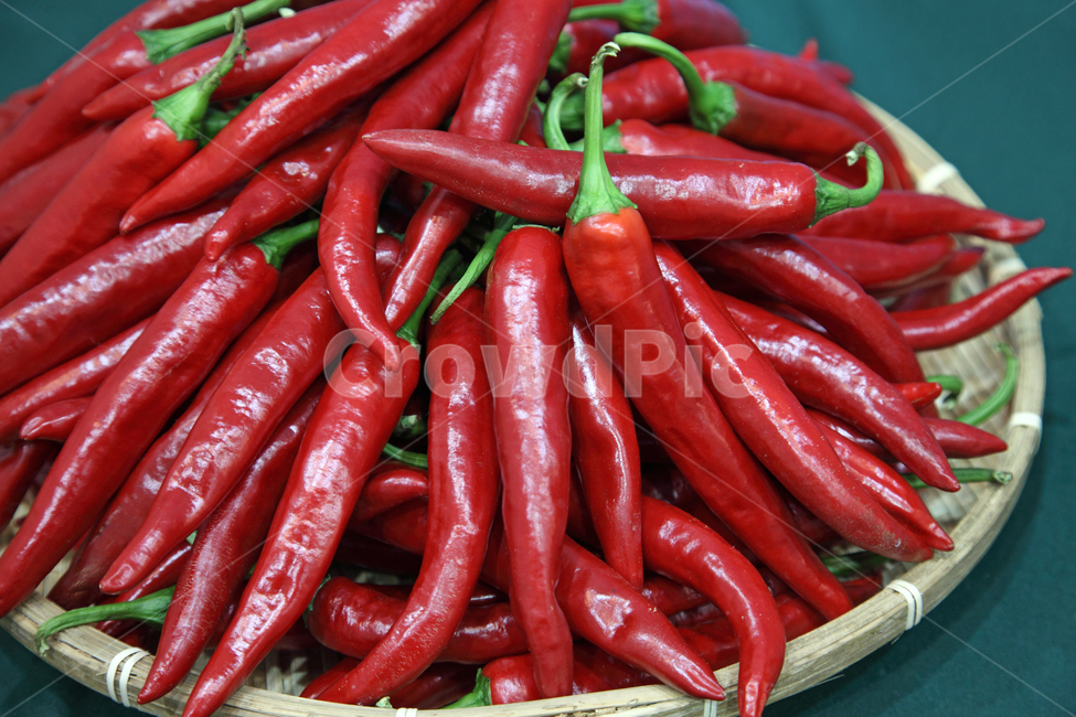 고추,빨간,빨간고추,홍고추,농산물,농작물,오브젝트,매운,식재료,음식,음식재료,재료,식품,야채,고추가루,신선한,생,빨간색,빨강색,레드,식물,날것,음식,식재료,요리,food,cook,meal,dishes,food reserves