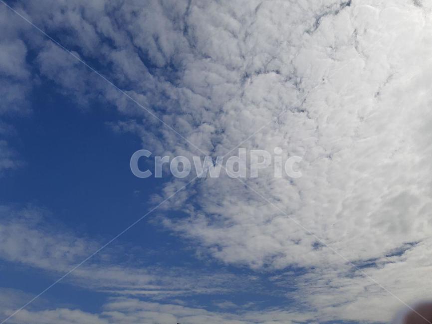 구름,cloud,sky,자연,nature,outdoors,옥외