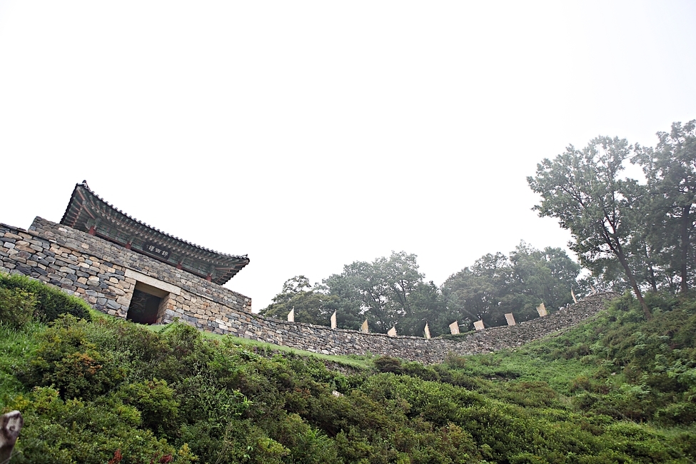 공주산성,성,산성,성곽,길,둘레길,숲,숲길,담,돌담,여름,풍경,벽,방어벽,흙담,나무,식물,유네스코등제