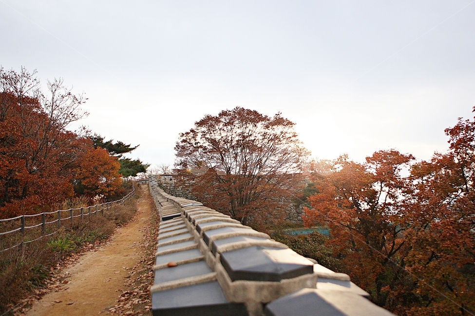 남한산성,성,성곽,단풍,낙엽,길,둘레길,숲,숲길,담,돌담,가을,자연,풍경,벽,울긋불긋,산성,식물,가을,계절,fall,autumn,season,한국전통,한국문화,korean traditional,korean culture,rail,레일,train track,기찻길,transportation,교통,railway,철도,gravel,자갈,dirt road,흙길,road,도로