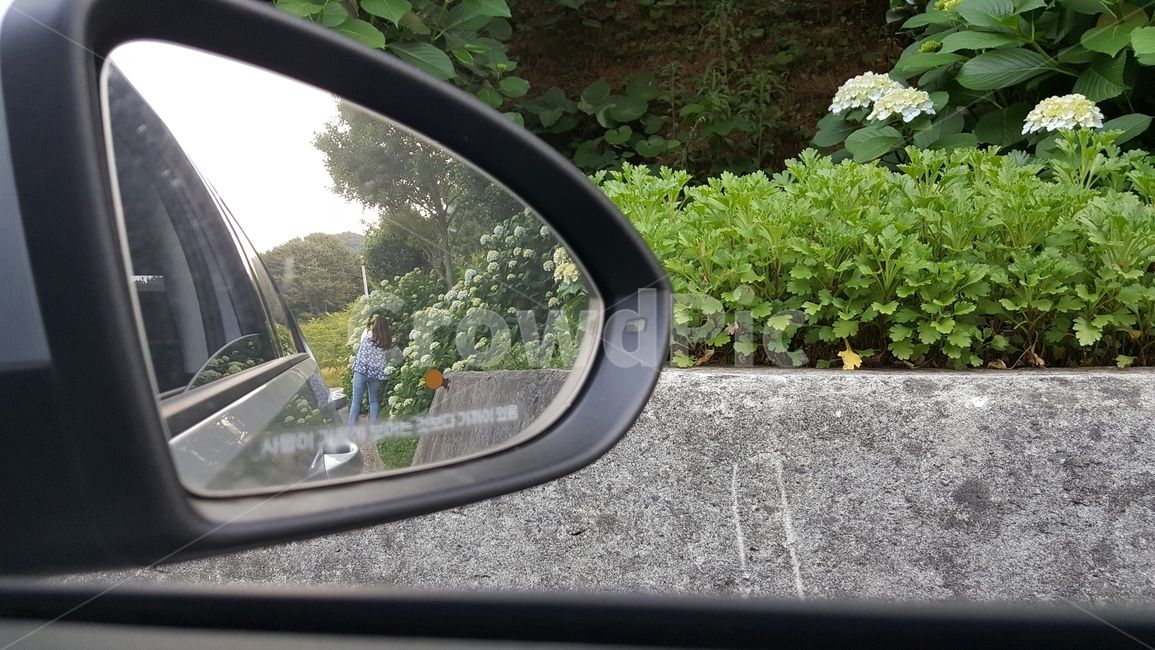 길가,거울,사이드미러,여자뒷모습,봄,여자