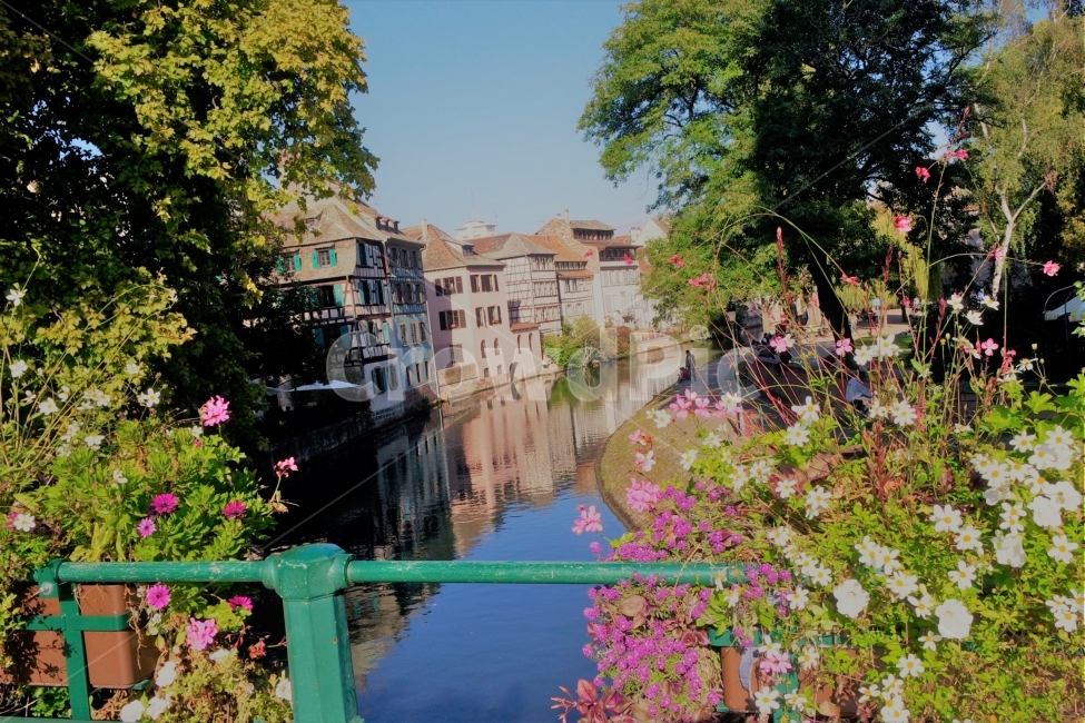 풍경,자연,스트라스부르,프랑스,여행,배낭여행,산책,휴식,유럽여행,강가,하늘,꽃,나무,공원,scenery,nature,strasbourg,france,travel,walking,resting,eorupetravel,river,sky,flower,trees,park,도시,풍경,city,landscape,해외,외국,세계,foreign,oversea,world,세계도시풍경,해외도시풍경,외국도시풍경,world cityscape,outdoors,옥외