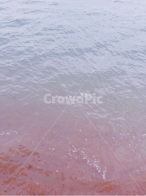 바다,물,해변,여름,색깔,일상,자연,풍경,nature,landscape
