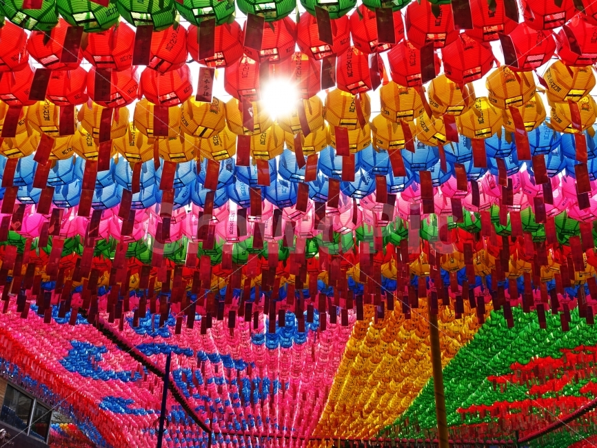 석가탄신일,종교,불교,절,연등,컬러풀,화려한,다채로운,예쁜,아름다운,평화,부처님,초파일,성찰,득도,기념,녹색,노랑,분홍,핑크,블루,파란색,빨간색,햇살,한국전통,한국문화,korean traditional,korean culture,종교,신앙,religion,belief,faith,기념일,축하,anniversary,congratulation,celebrate,celebration,축제,행사,festival,carnival,event