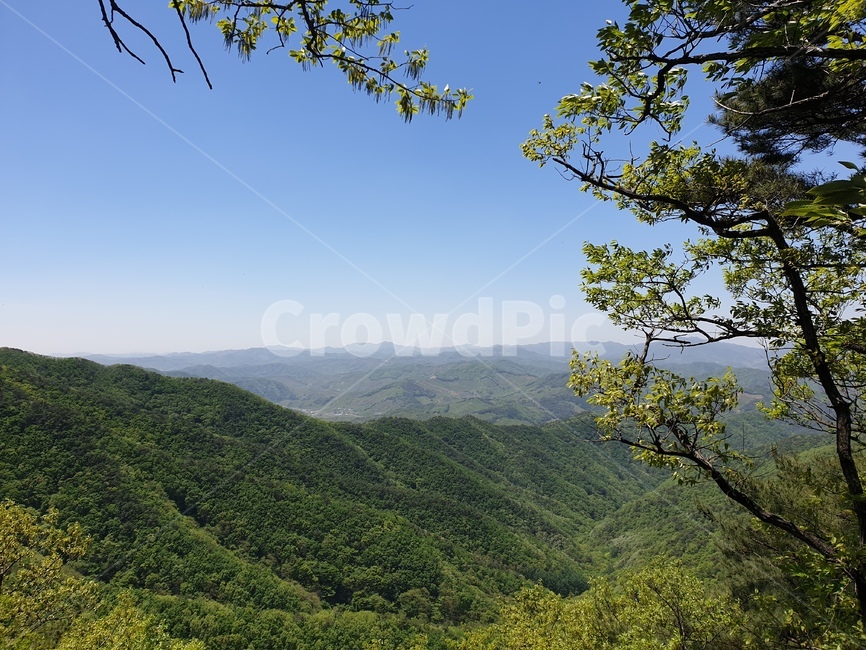 봄산행,푸른숲,자연,등산,운동