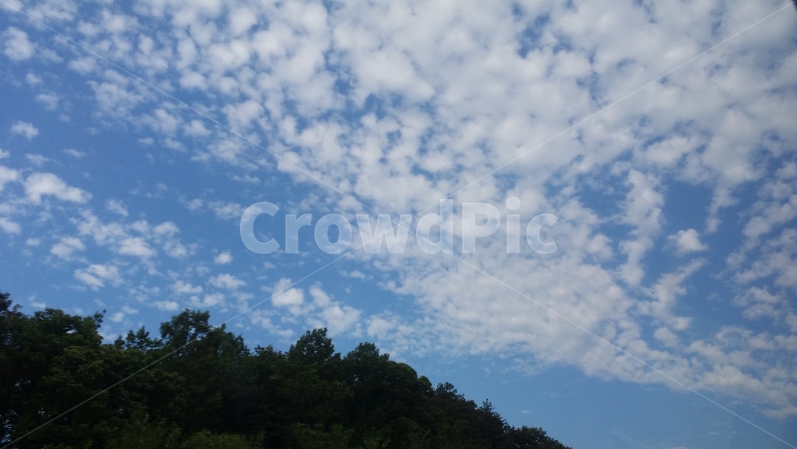 구름,안개구름,풍경,하늘,나무,고화질,초고화질,자연,풍경,nature,landscape,outdoors,옥외,sky,weather,날씨