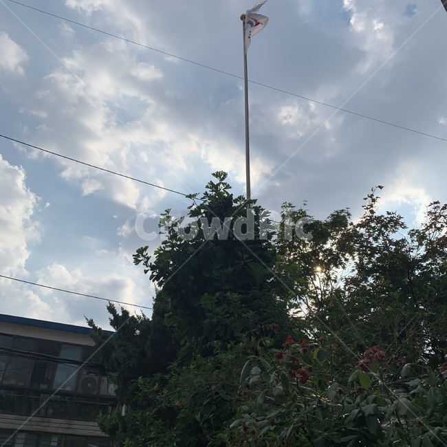 전신주,utilitypole,태극기,구름,하늘,날씨,sky,cloud,나무,감성