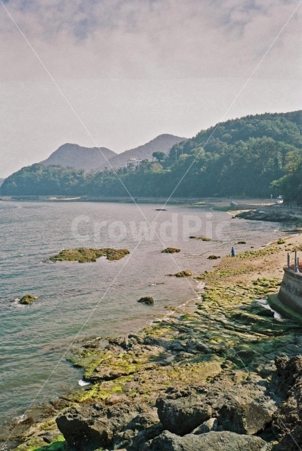 바다,자연,나무,산,하늘,풍경,통영,감성,필카,필름카메라,자연,풍경,nature,landscape,한국자연풍경,한국자연경관,korea nature landscape,land,땅,outdoors,옥외