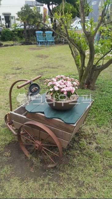 감성,여유,백그라운드,배경,가을,자연