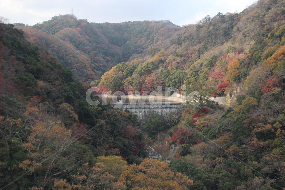 nature,자연,outdoors,옥외,water,물,river,강,가을,계절,fall,autumn,season,자연,풍경,nature,landscape
