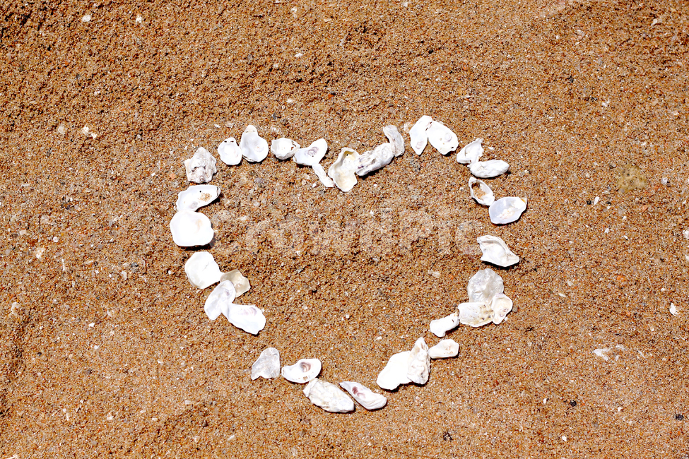 하트,사랑,여행,연인,바다,모래사장,조개껍데기,해변,바다,beach,sea,감정표현,기분,feeling,emotion