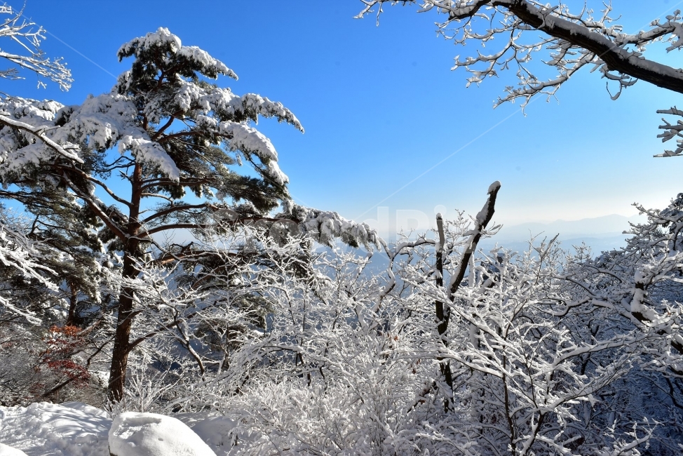 북한산,국립공원,설산,설경,눈,눈꽃,서울,도심지,명산,겨울,여행,국내여행,Seoul,Korea,National,Park,풍경,크리스마스,성탄절,화이트크리스마스,눈꽃풍경,비경,산행,등산,100대명산,기암,바위산,겨울,계절,winter,season,자연,풍경,nature,landscape,한국자연풍경,한국자연경관,korea nature landscape,식물,plants,나무,trees,wood,outdoors,옥외,ice,얼음,snow