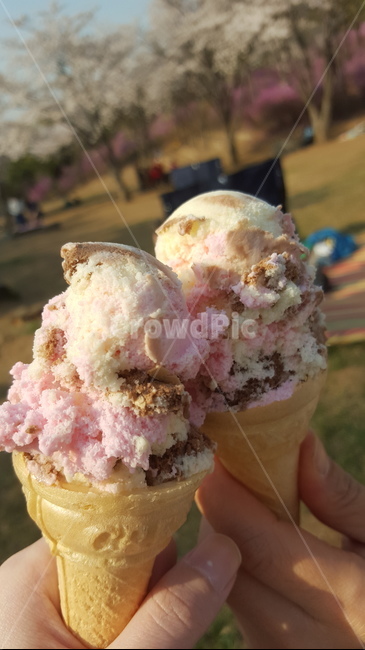 음식,디저트,아이스크림,icecream,food