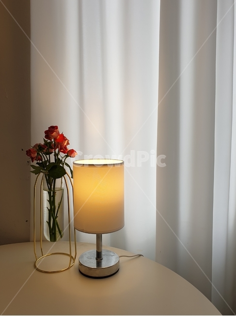 카페,창가,테이블,실내,따뜻함,조용,휴식,꽃,꽃병,조명,cafe