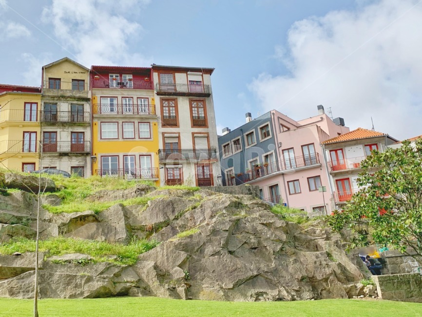 포르투갈,포르투,유럽,집,알록달록,europe,portugal,porto,풍경,plant,식물,grass,잔디,언덕,언덕위의집