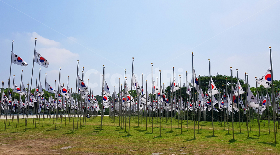 태극기,잔디,바람,기상,하늘,역사,민족,힘,깃발,태극,한민족