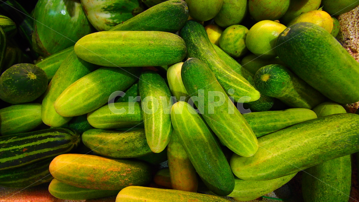오이,채소,시장,초록색,cucumber,vegetable,green,음식,식재료,요리,food,cook,meal,dishes,food reserves,채소,야채,vegetables