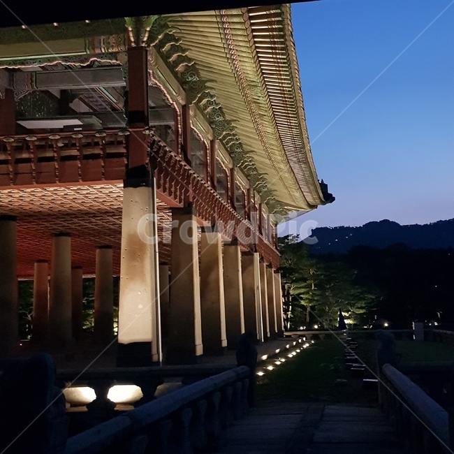한국,경복궁,gyeongbokgung,야간개장,palace,야경,밤,풍경,nightscape,night,landscape,한국전통,한국문화,korean traditional,korean culture,랜드마크,landmark,tourist attraction,한국랜드마크,한국관광지,한국명소,korea landmark,korea tourist attraction,건축물,건물외관,exterior,building,structure,architecture,construction,건물,patio,안마당