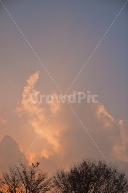 석양,하늘,구름,나무,감성,그리움,파스텔,햇빛,sunset,sky,cloud,tree,nature,missing,pastel,sunlight,자연,풍경,nature,landscape,색깔,색상,색채,색감,color sense,color sensitivity,feeling of color,light,빛,flare,플레어