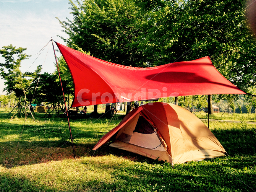 강천섬,gangcheonsum,캠핑,텐트,풀밭,나무,강천섬캠핑,camping,tent,grass,tree,nature,gangcheonsumcamping,여행,휴가,traveling,vacation,trip