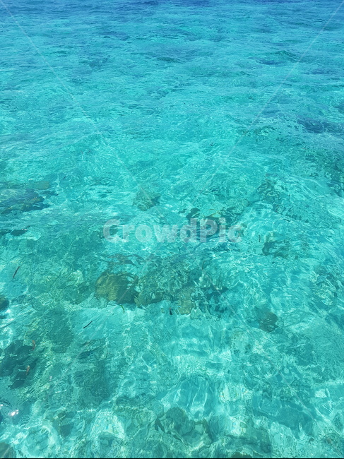 nature,자연,ocean,대양,sea,바다