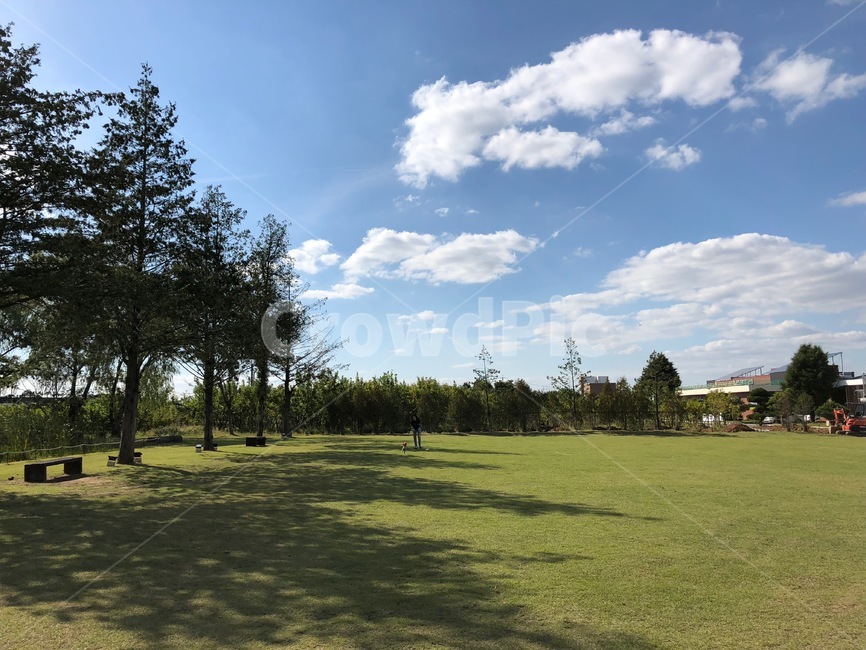 plant,식물,grass,잔디,outdoors,옥외,tree,나무,하늘,공원,구름,들판,초록색,sky,korea,한국,자연,풍경,nature,landscape
