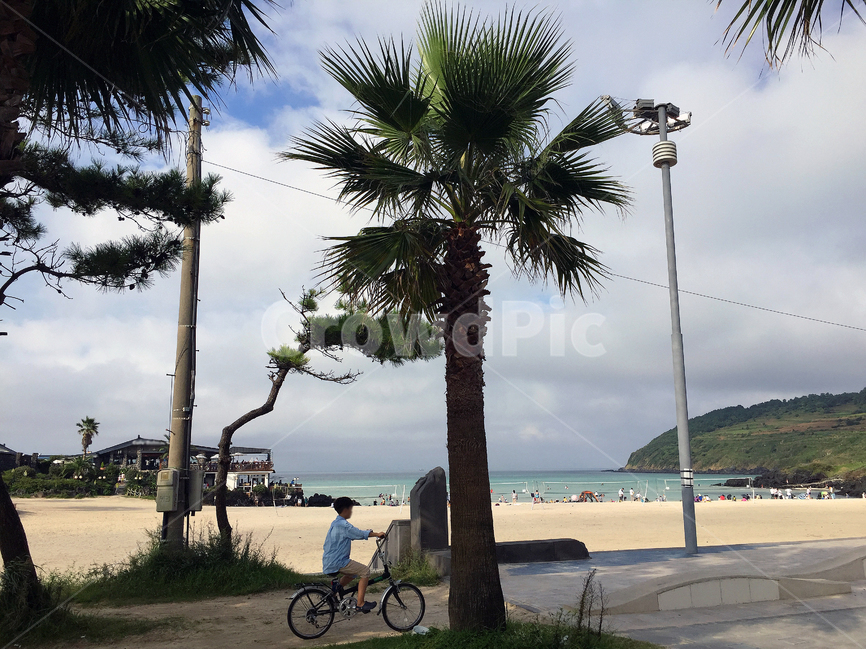 Beach,bicycle,Jeju,Hamdeok Beach,waterfront,jeju island
